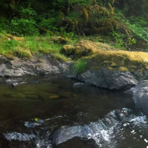 Meet your Posher, Bryn